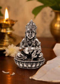 Silver kuber Ji Idol