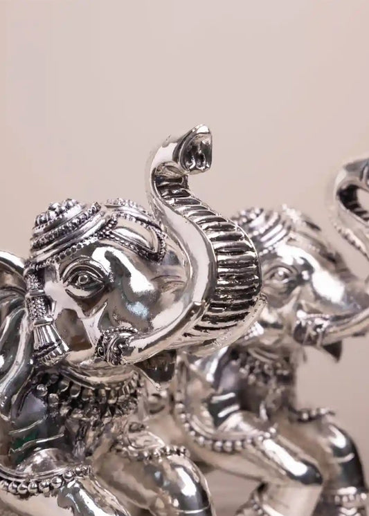 Salute Of The Majestic Silver Elephant